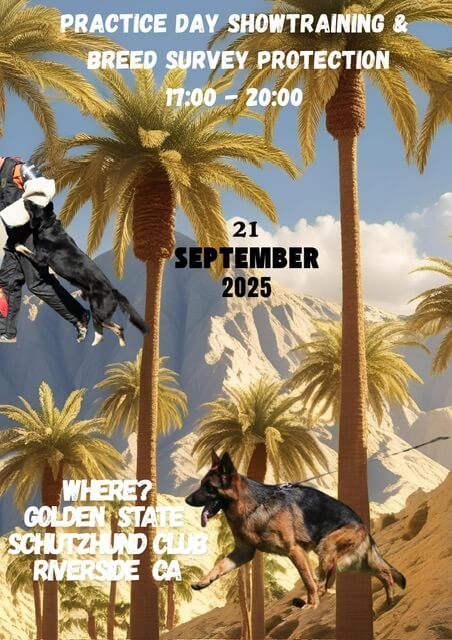 Practice Day flyer
