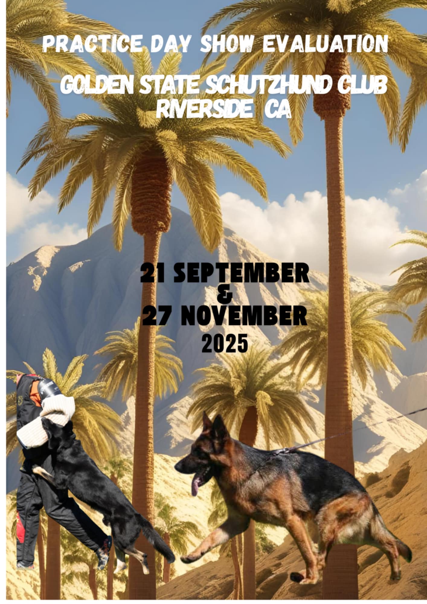 Trial Flyer